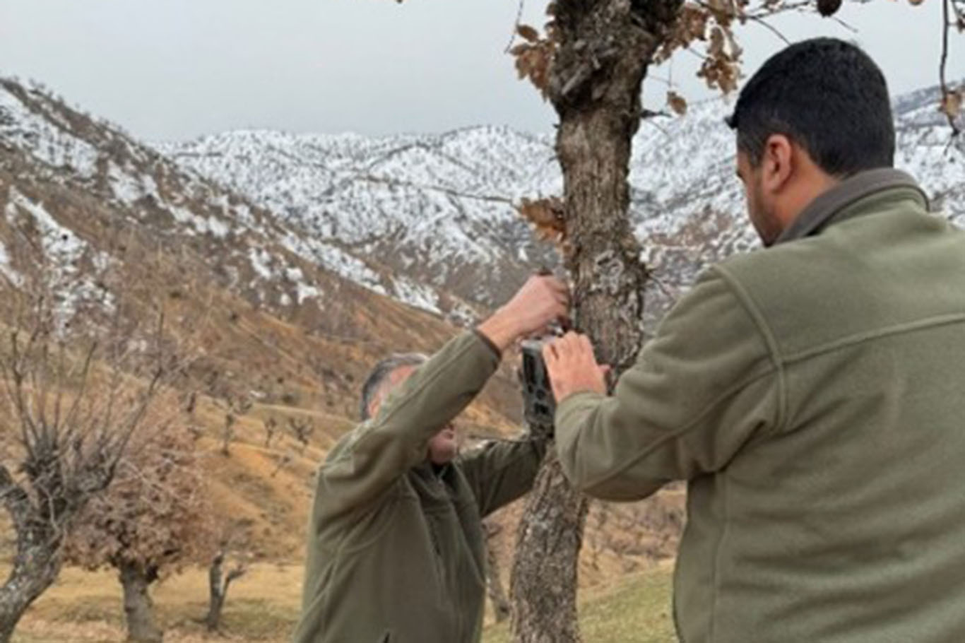 Yaban Hayatı Koruma Çalışması Başlatıldı