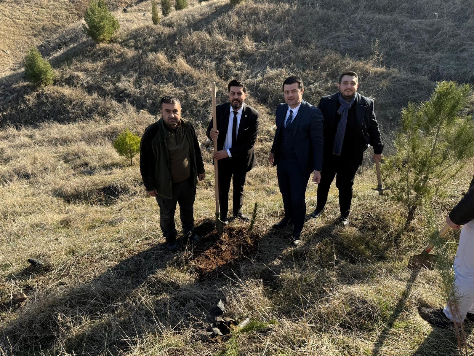 Baro’dan Kıra Dağı’nda ağaçlandırma çalışması