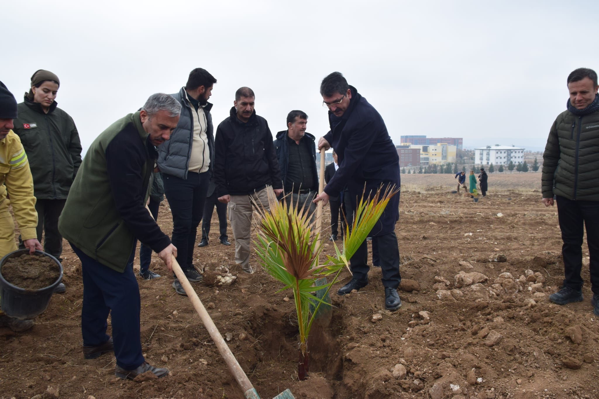 Nasıroğlu, Fidan Dikim Etkinliğine Katıldı