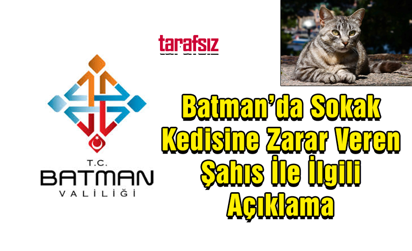 Batman’da Sokak Kedisine Zarar Veren Şahıs İle İlgili Açıklama