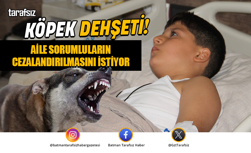 Köpek Dehşeti!