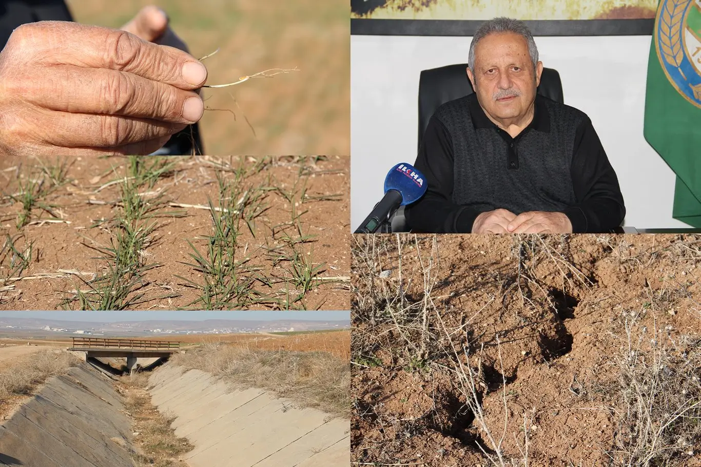 Kuraklık Alarmı: Tarımsal Verim Düşüşü Yüzde 80’i Bulabilir