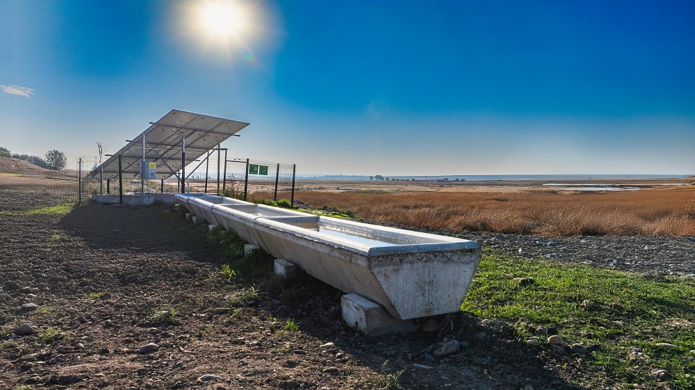 Kırsala Hayat Veren “Serçe Parmak” Projesi