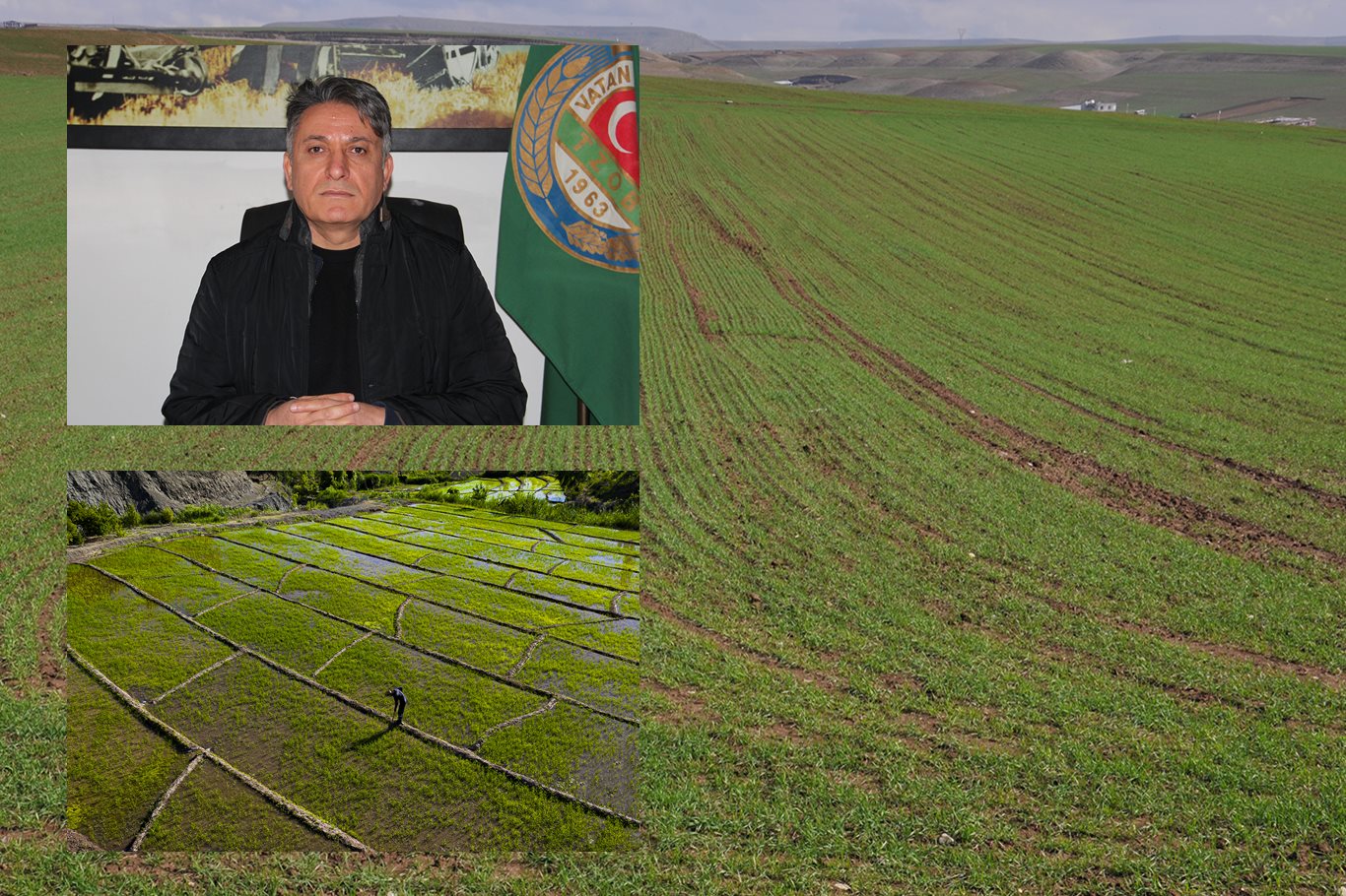 ‘’Yağışlar Tarıma Can Suyu Oldu, Ancak Tehlike Geçmiş Değil”