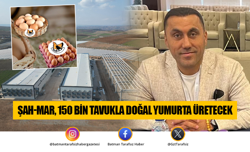 Şah-Mar, 150 Bin Tavukla Doğal Yumurta Üretecek