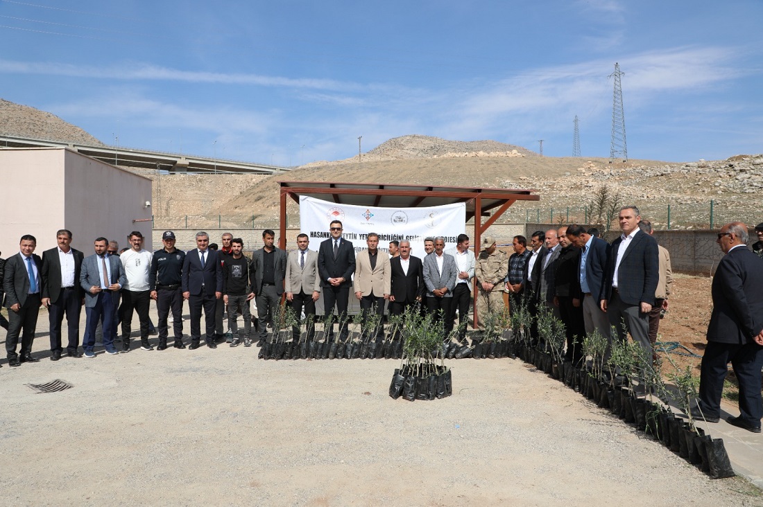 Hasankeyf’te 5 Bin Zeytin Fidanı Dağıtıldı