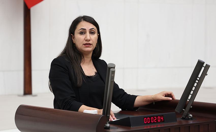 Milletvekili Oduncu, Sokak Hayvanları Politikalarına Tepki Gösterdi