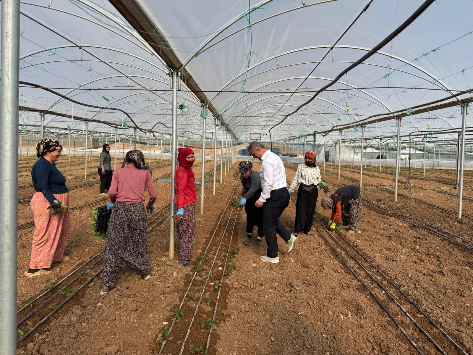 Başkan Şansi, Serada Çalışan Emekçi Kadınlarla Buluştu
