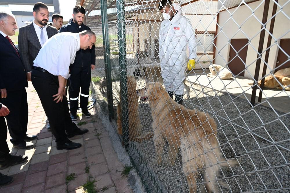 Vali Canalp, Hayvan Bakım ve Rehabilitasyon Merkezi’ni İnceledi