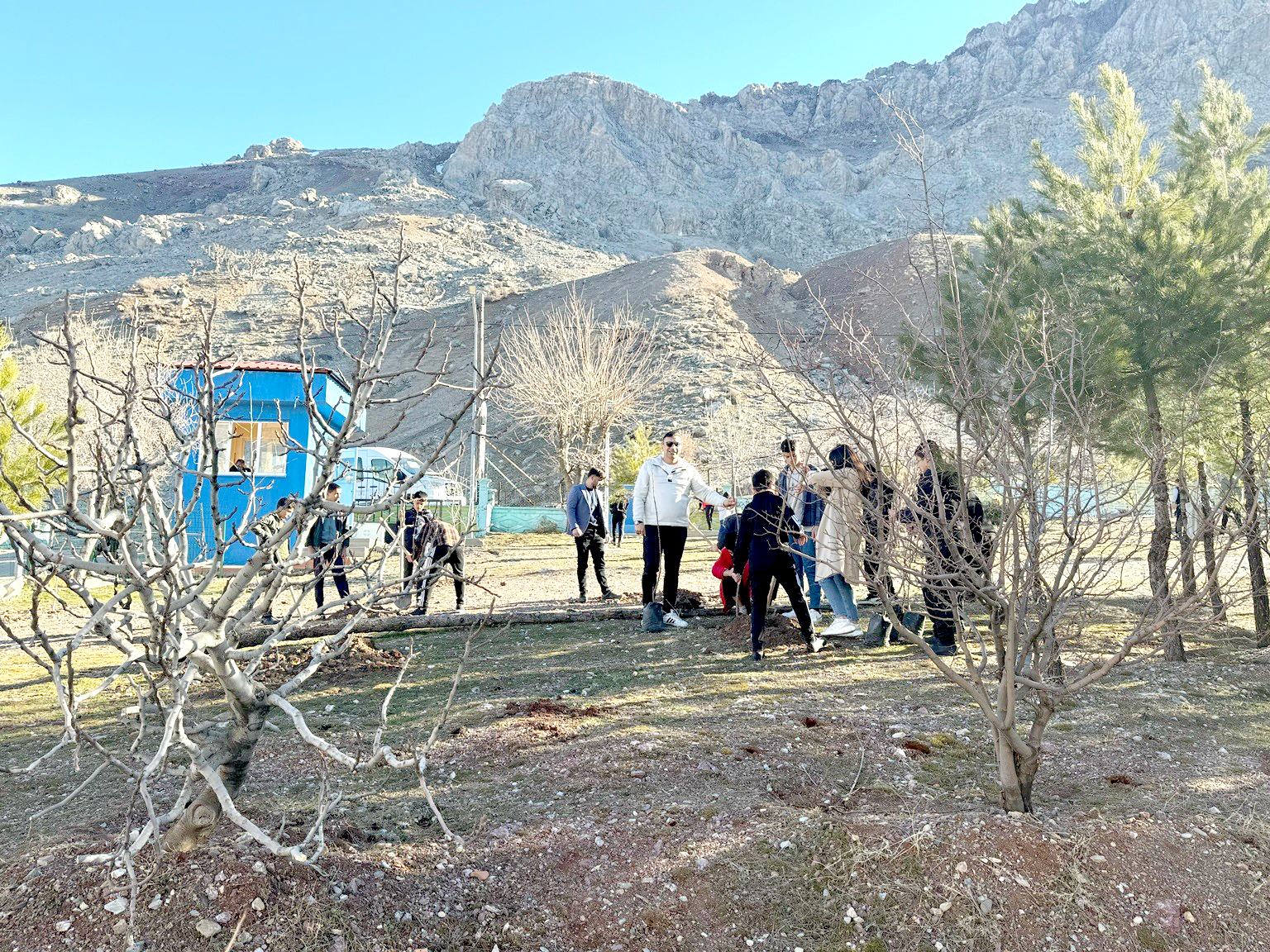 YİBO’da 5 Yılda Bin Ağaç Dikildi