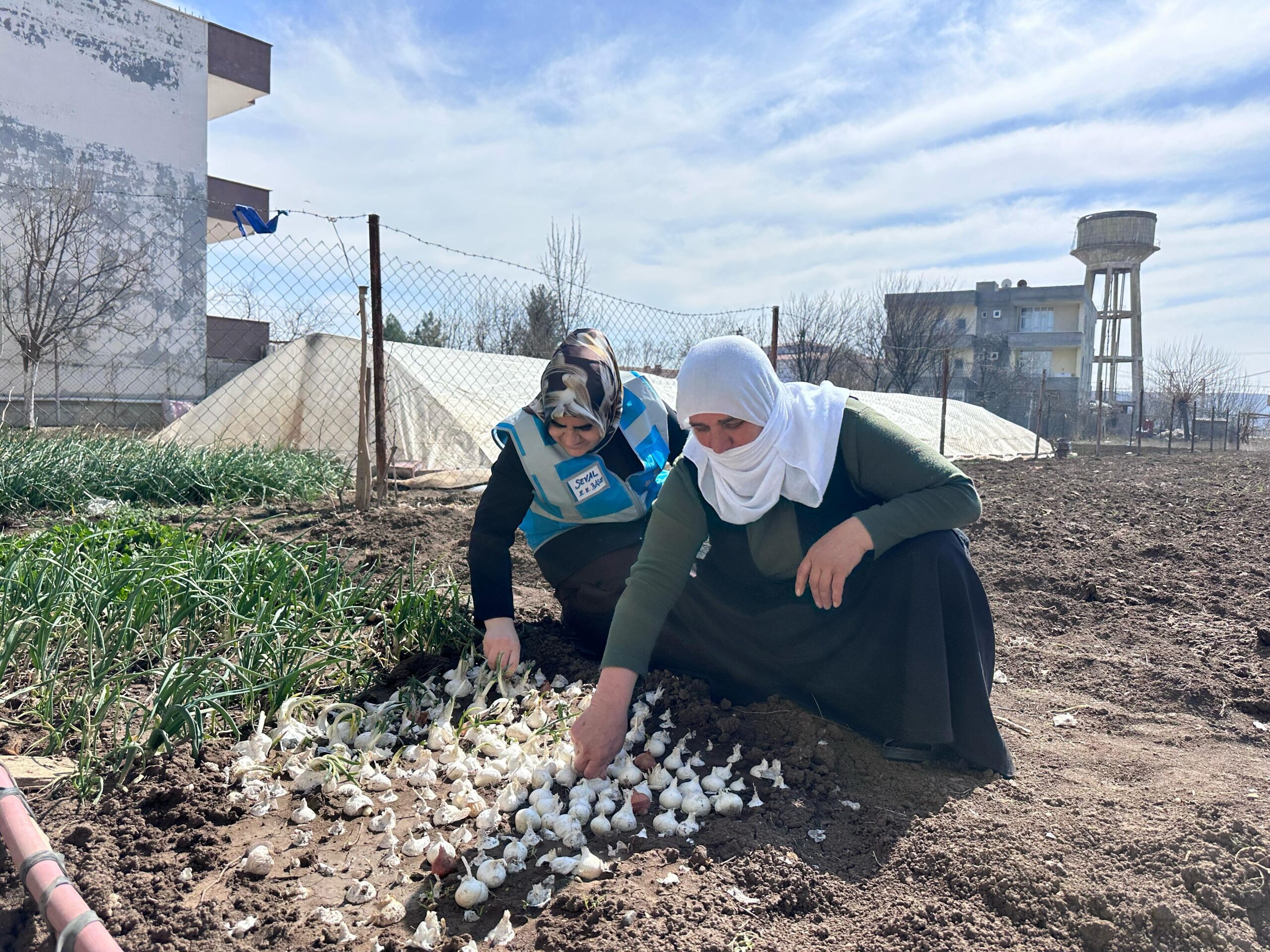 Başkan Aksoy’dan Çiftçi Kadınlara ‘8 Mart’ Ziyareti