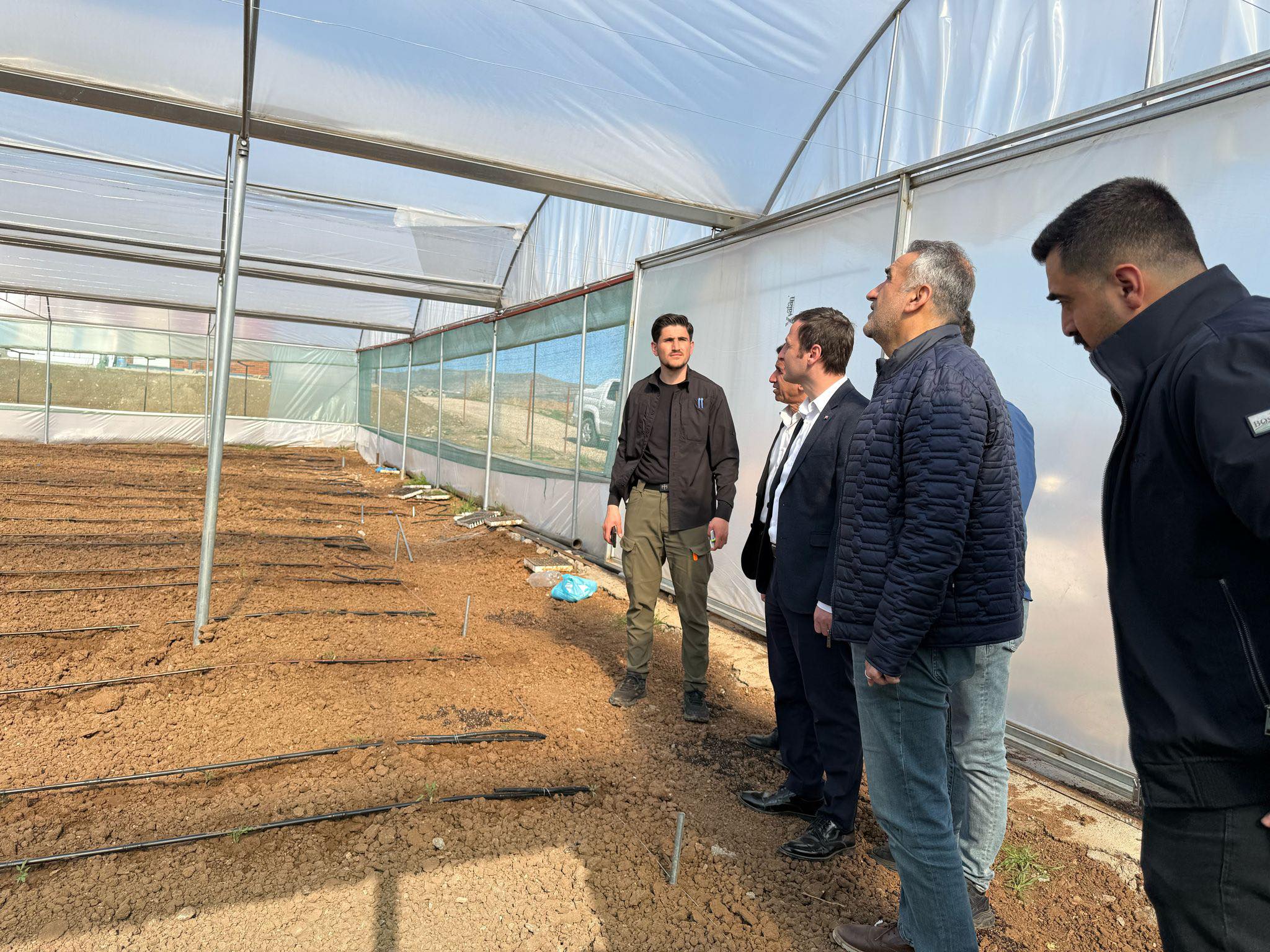 Organik Kozluk Domatesi Seraları Denetlendi