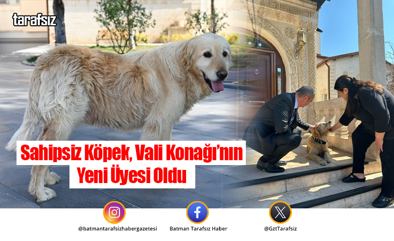Sahipsiz Köpek, Vali Konağı’nın Yeni Üyesi Oldu