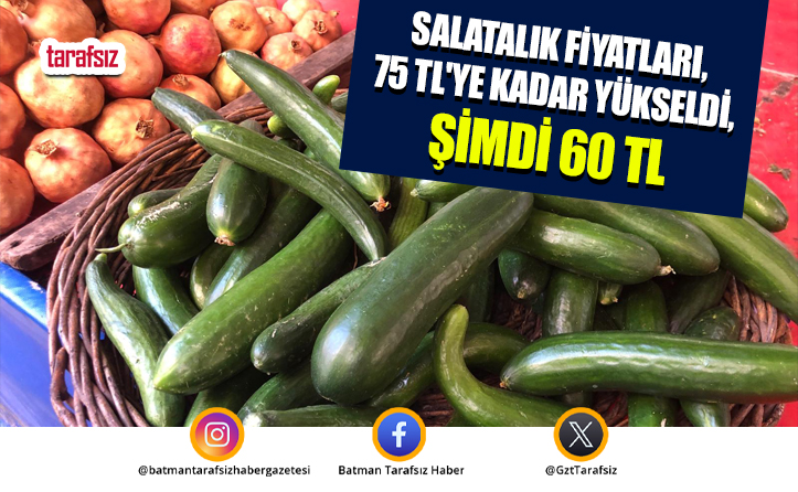 Salatalık Fiyatları, 75 TL’ye Kadar Yükseldi, Şimdi 60 TL