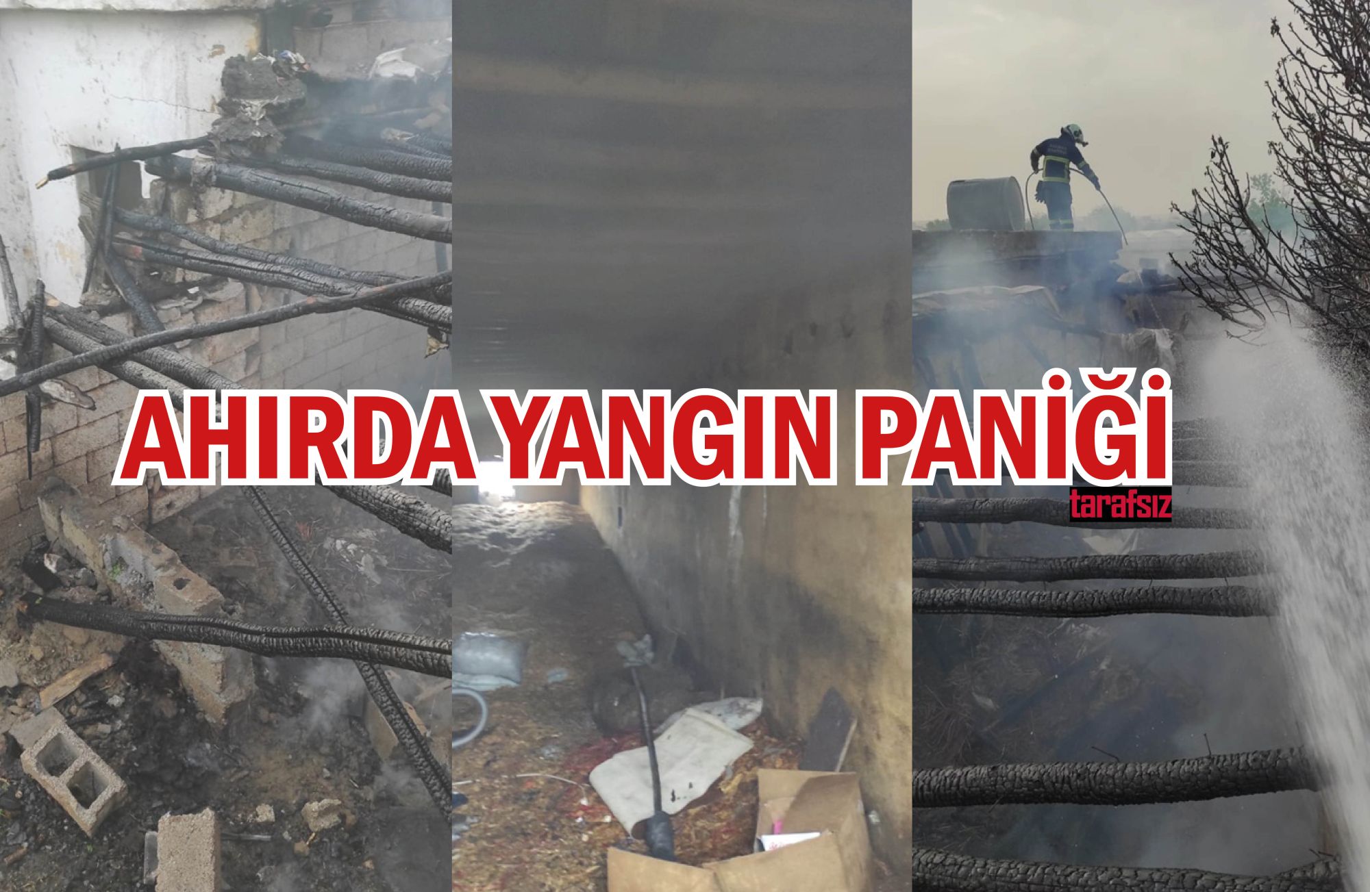 AHIRDA YANGIN PANİĞİ