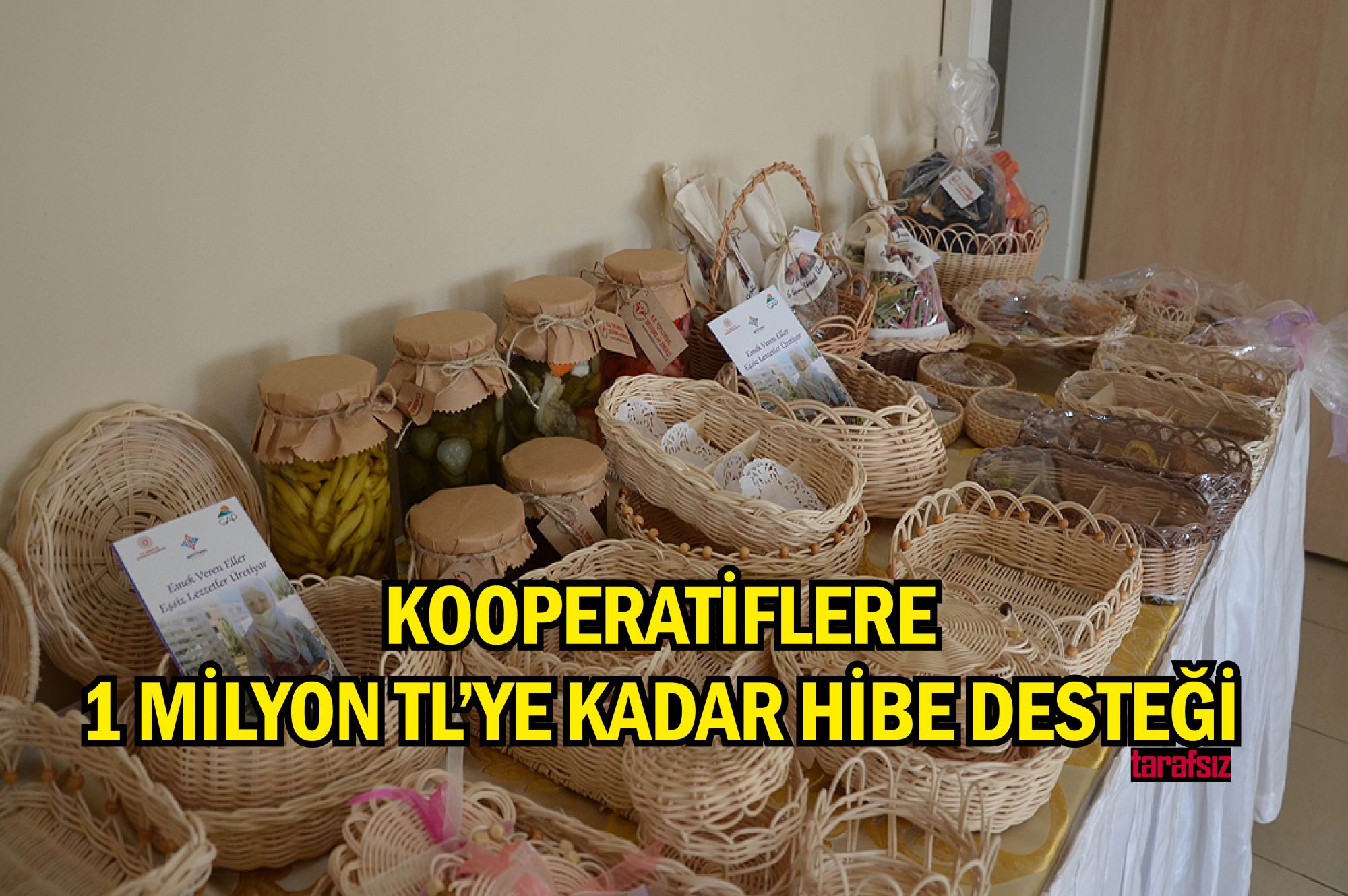 Kooperatiflere 1 Milyon TL’ye Kadar Hibe Desteği