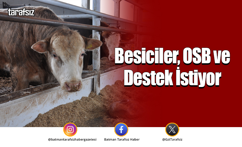 Besiciler, OSB ve Destek İstiyor