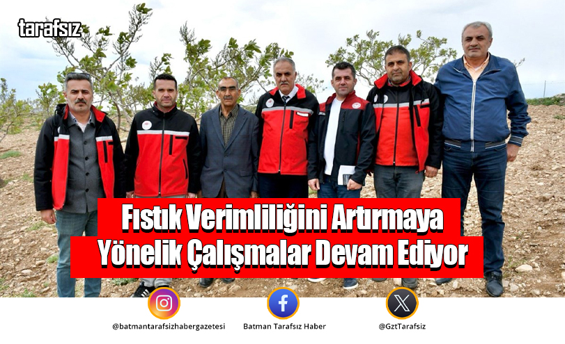 Fıstık Verimliliğini Artırmaya Yönelik Çalışmalar Devam Ediyor