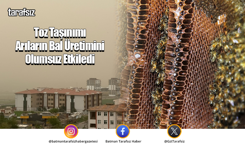 Toz Taşınımı Arıların Bal Üretimini Olumsuz Etkiledi