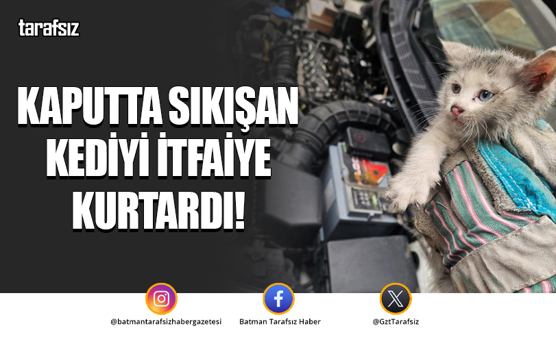Kaputta Sıkışan Kediyi İtfaiye Kurtardı!