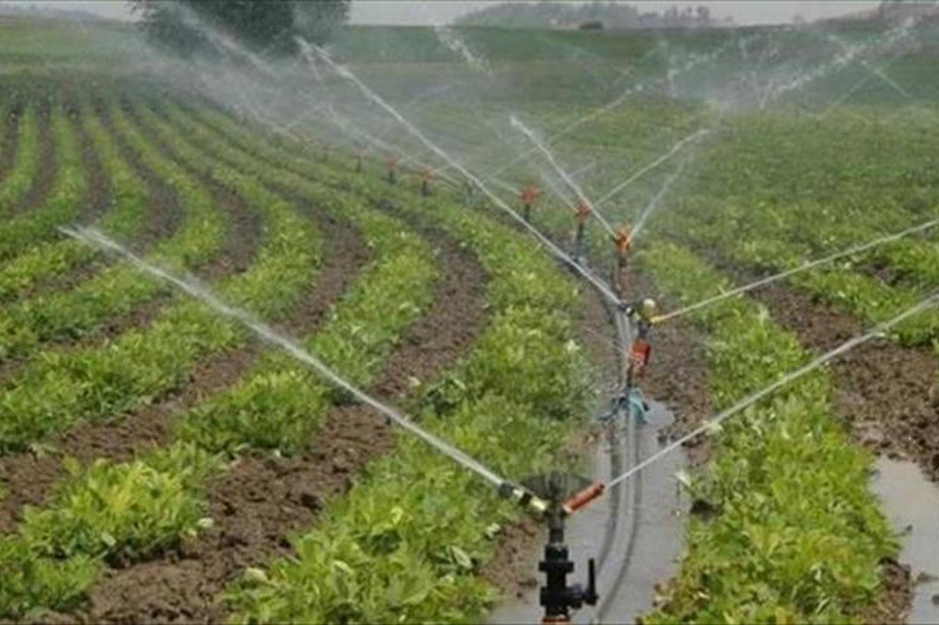 Belediyeden Su Kullanımı Uyarısı: “Tarımsal Sulamada İçme Suyu Yasak”