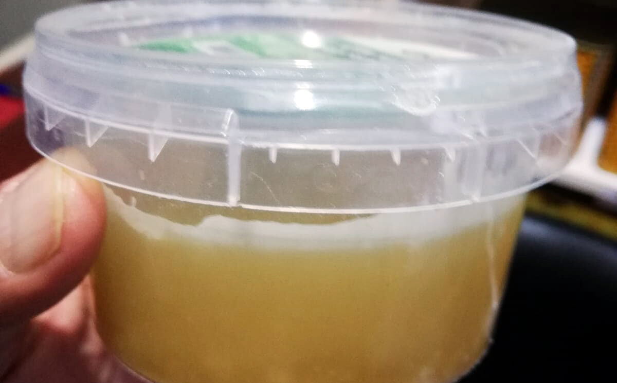 Bıttım Sakızına Yoğun İlgi: Faydalarıyla Dikkat Çekiyor