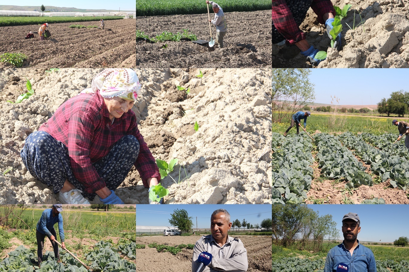 Çiftçiler Zor Günler Geçiriyor: “Toprak Bereketli, Maliyet Yüksek”