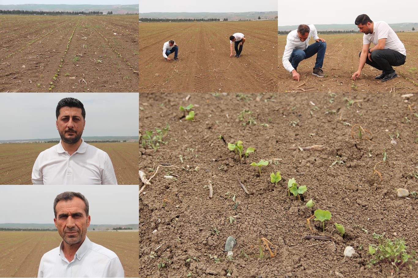 Kağba: “Batman’da Pamuk Üretimini Artırmak Stratejik Bir Zorunluluktur”