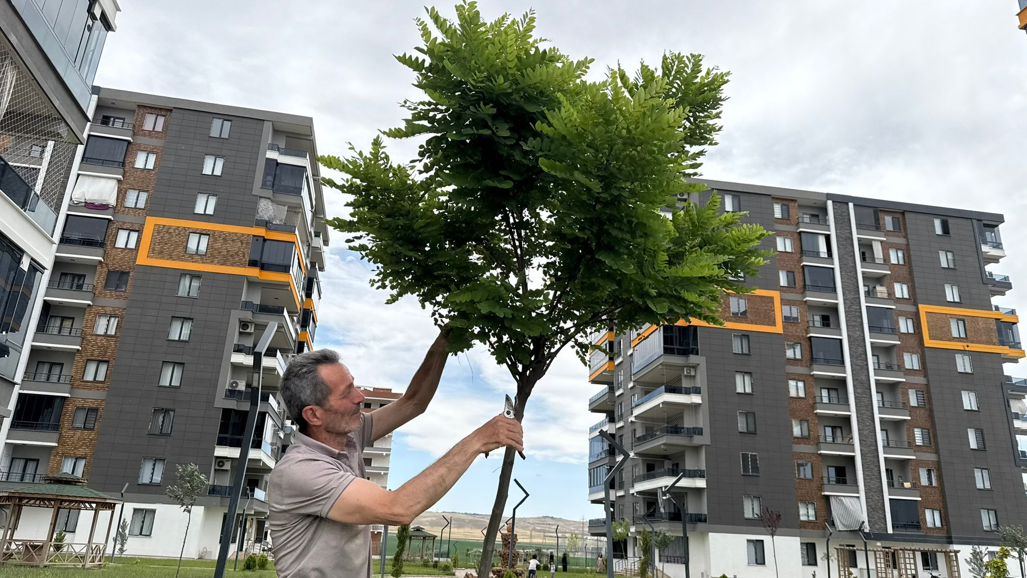 Ninova Park’tan Ağaçlandırma Hamlesi