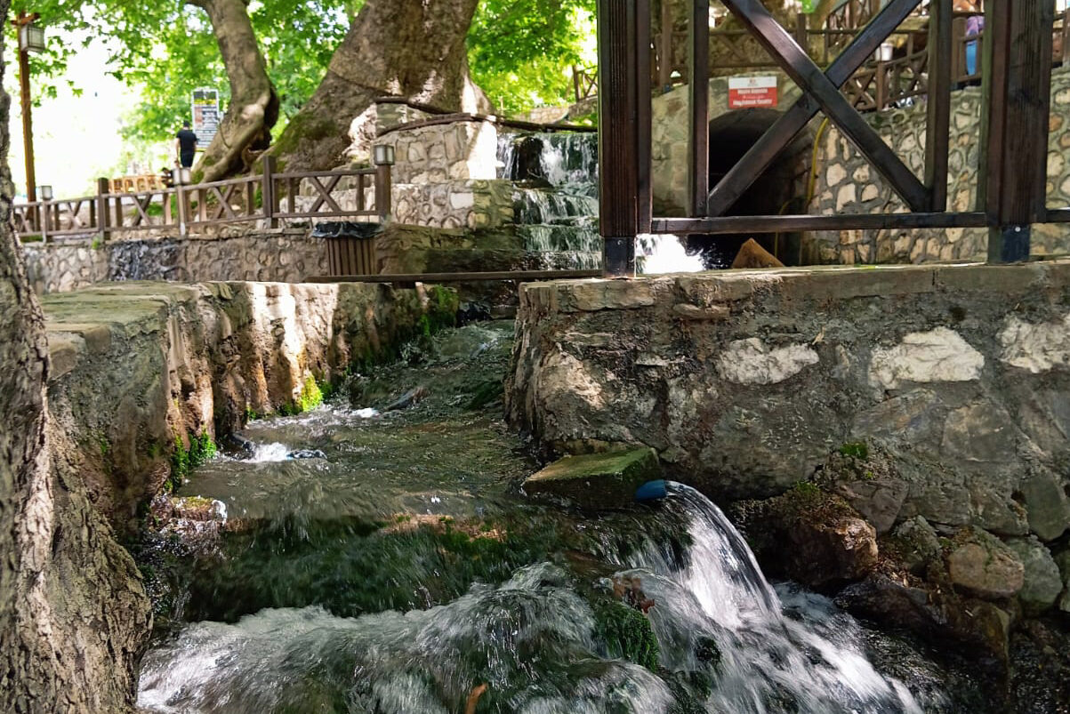 Sason’daki Asırlık Çınarlar Doğaseverleri Büyülüyor