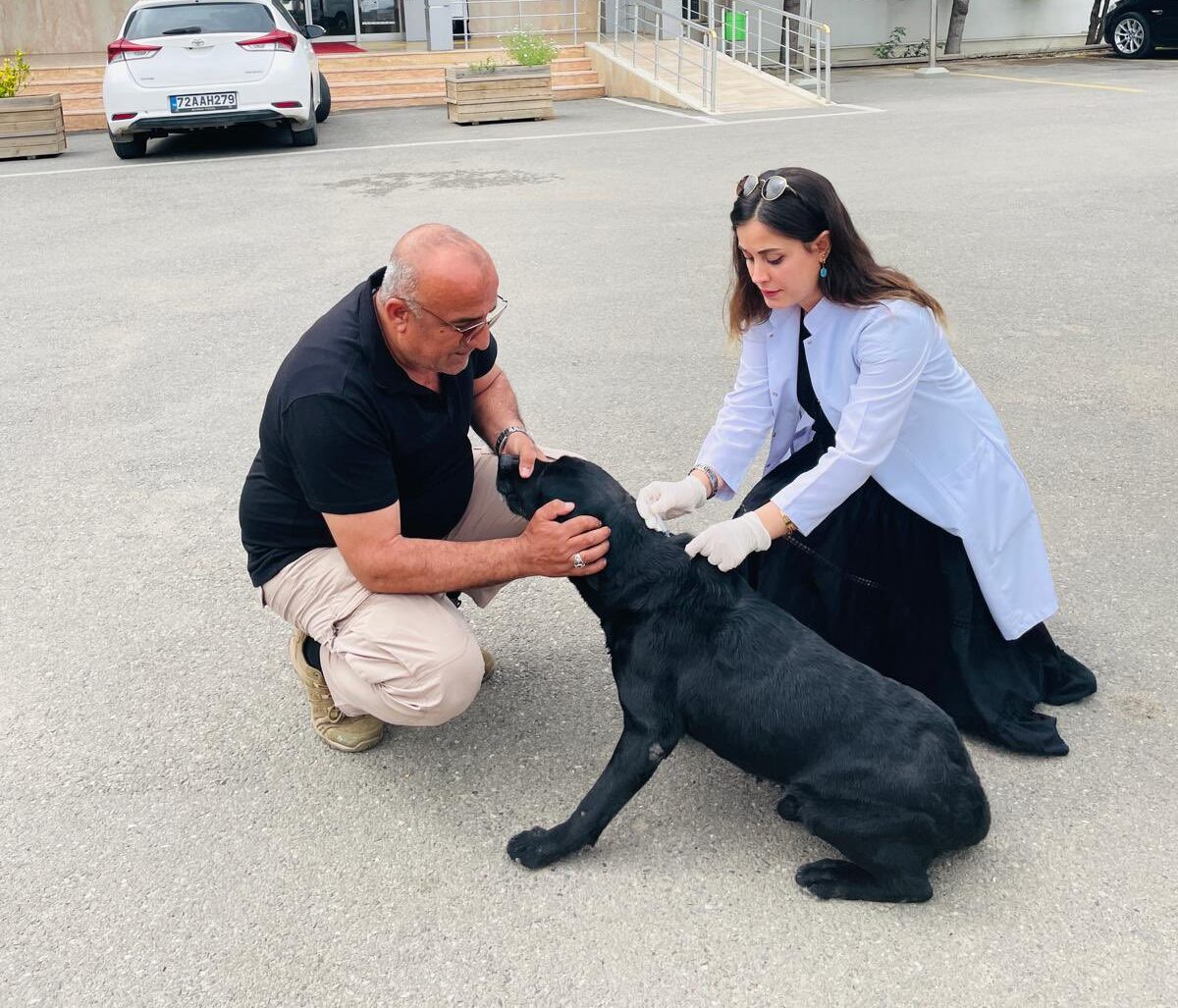 Evcil Hayvanlara Mikroçip ve Kimliklendirme Süreci Sürüyor