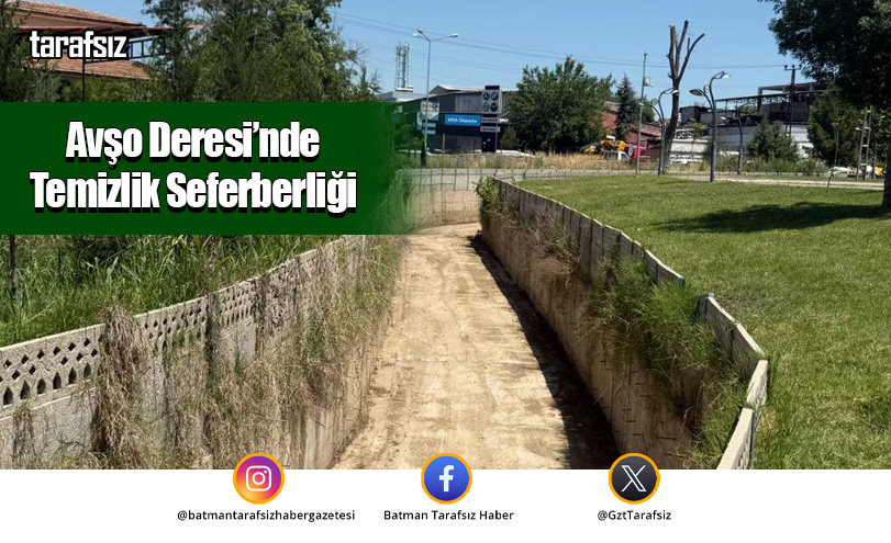 Avşo Deresi’nde Temizlik Seferberliği