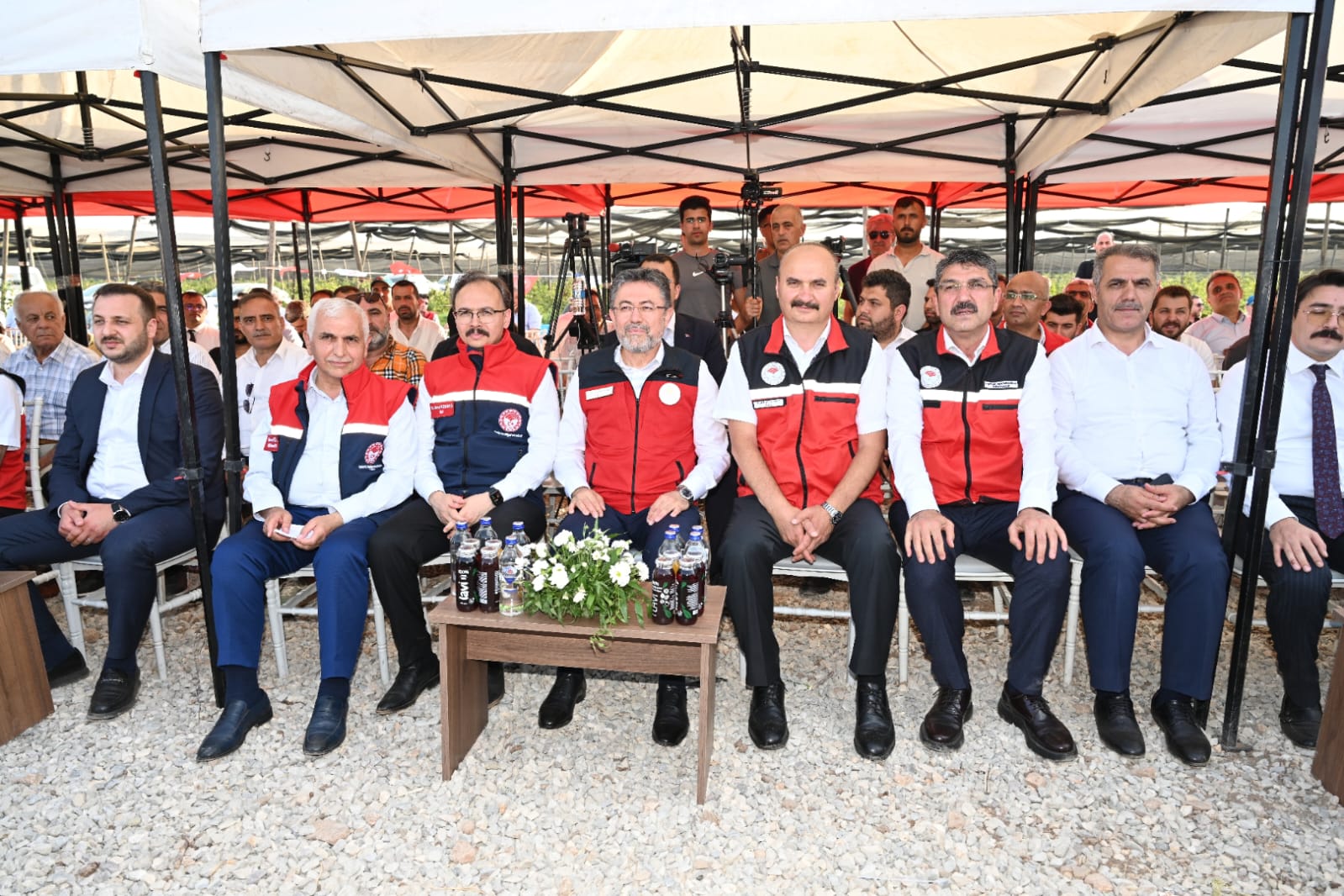 Bakan Yumaklı ve Vekil Nasıroğlu Böğürtlen Hasadına Katıldı