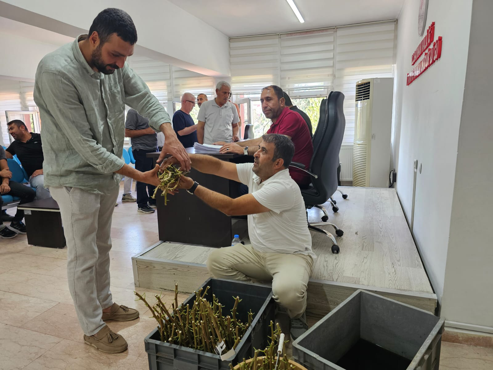 Fıstık Verimi İçin Yeni Aşı Dağıtıldı