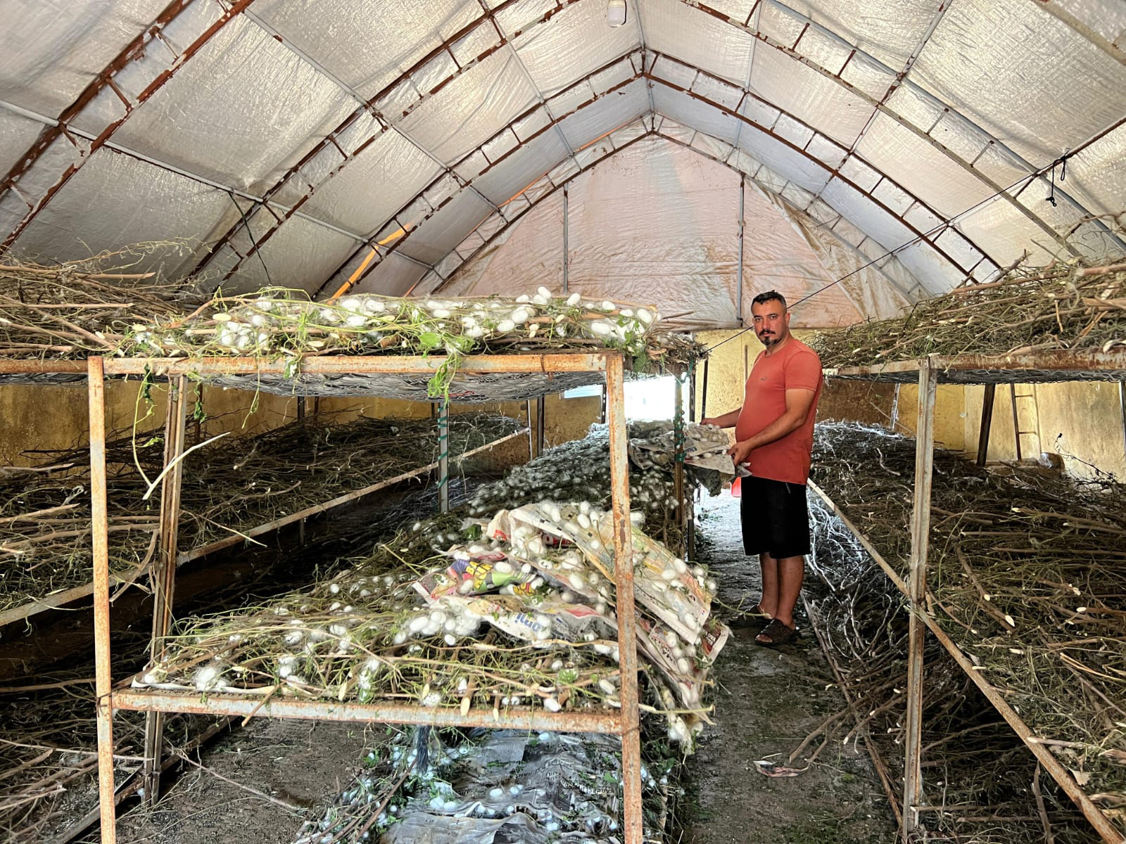 Koza Hasadı Yüzleri Güldürdü