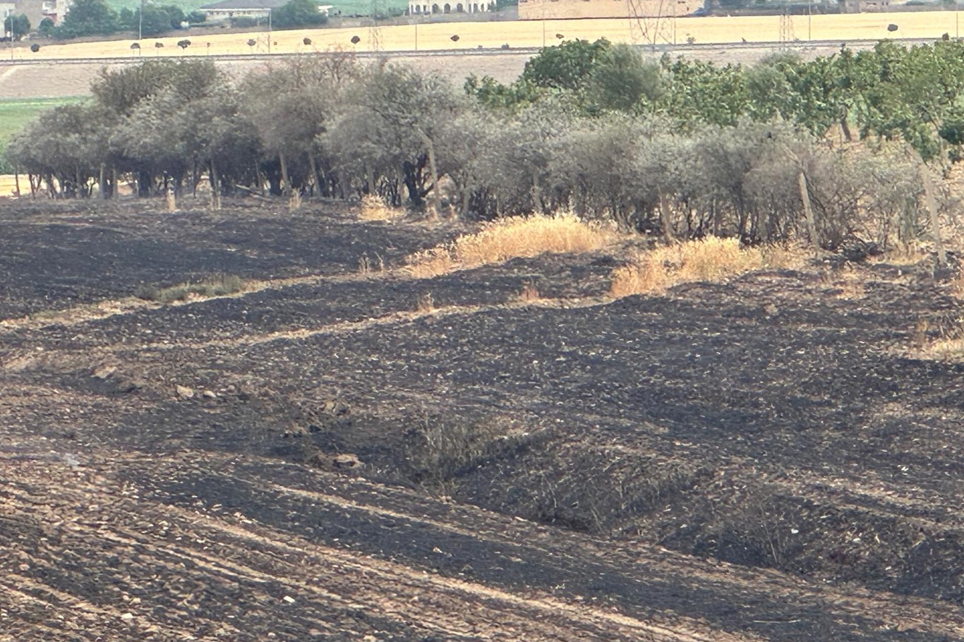 Kuyubaşı’nda Anız Yangını