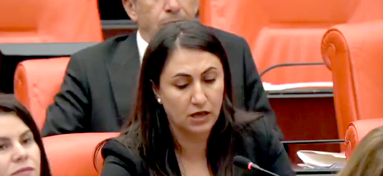 Oduncu’dan Yılkı Atları Tepkisi: “Sessizlik Kabul Edilemez”