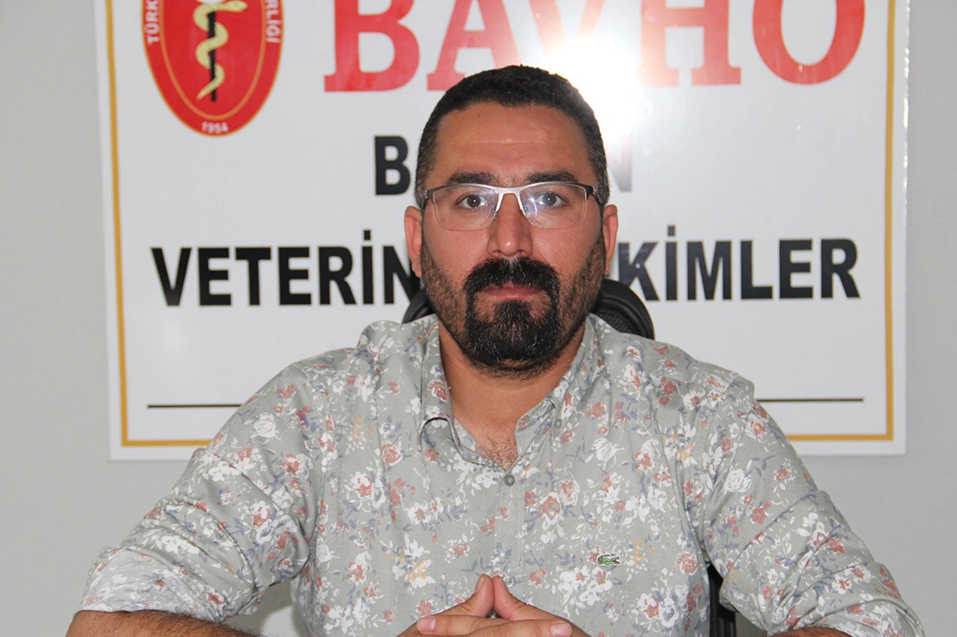 Veteriner Hekimler Odası’ndan Yaban Atlarının Katledilmesine Tepki