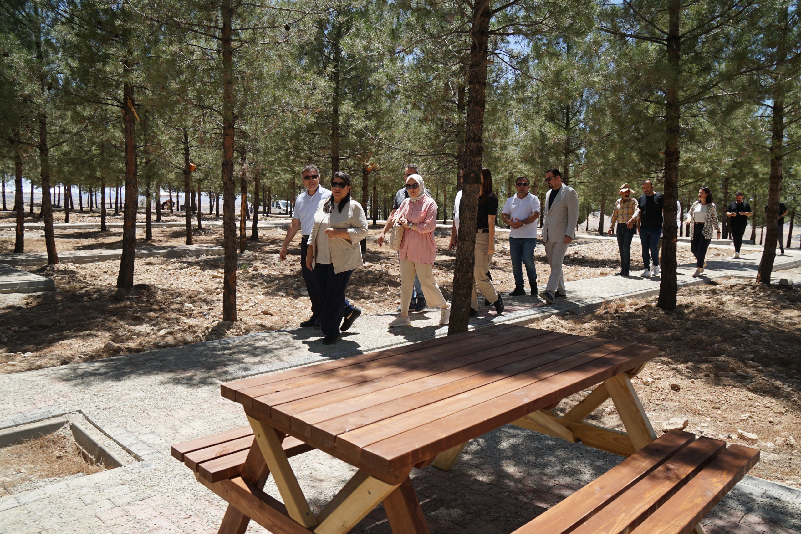 Nasıroğlu Hatıra Ormanı’na Yeni Sosyal Alanlar