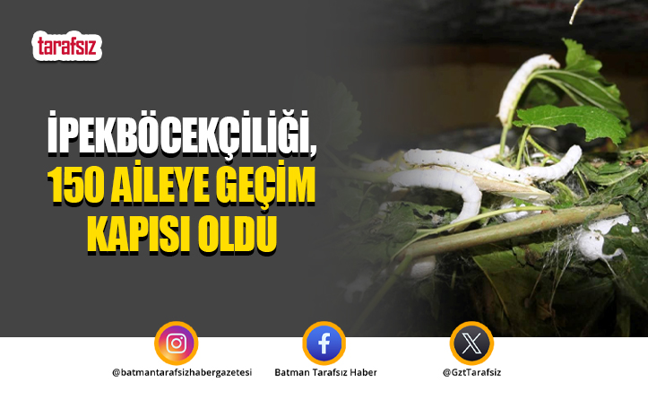 İpekböcekçiliği, 150 Aileye Geçim Kapısı Oldu