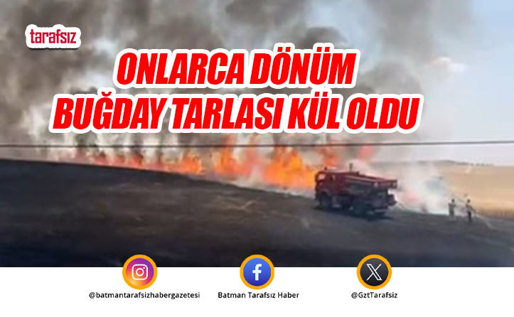 Onlarca Dönüm Buğday Tarlası Kül Oldu