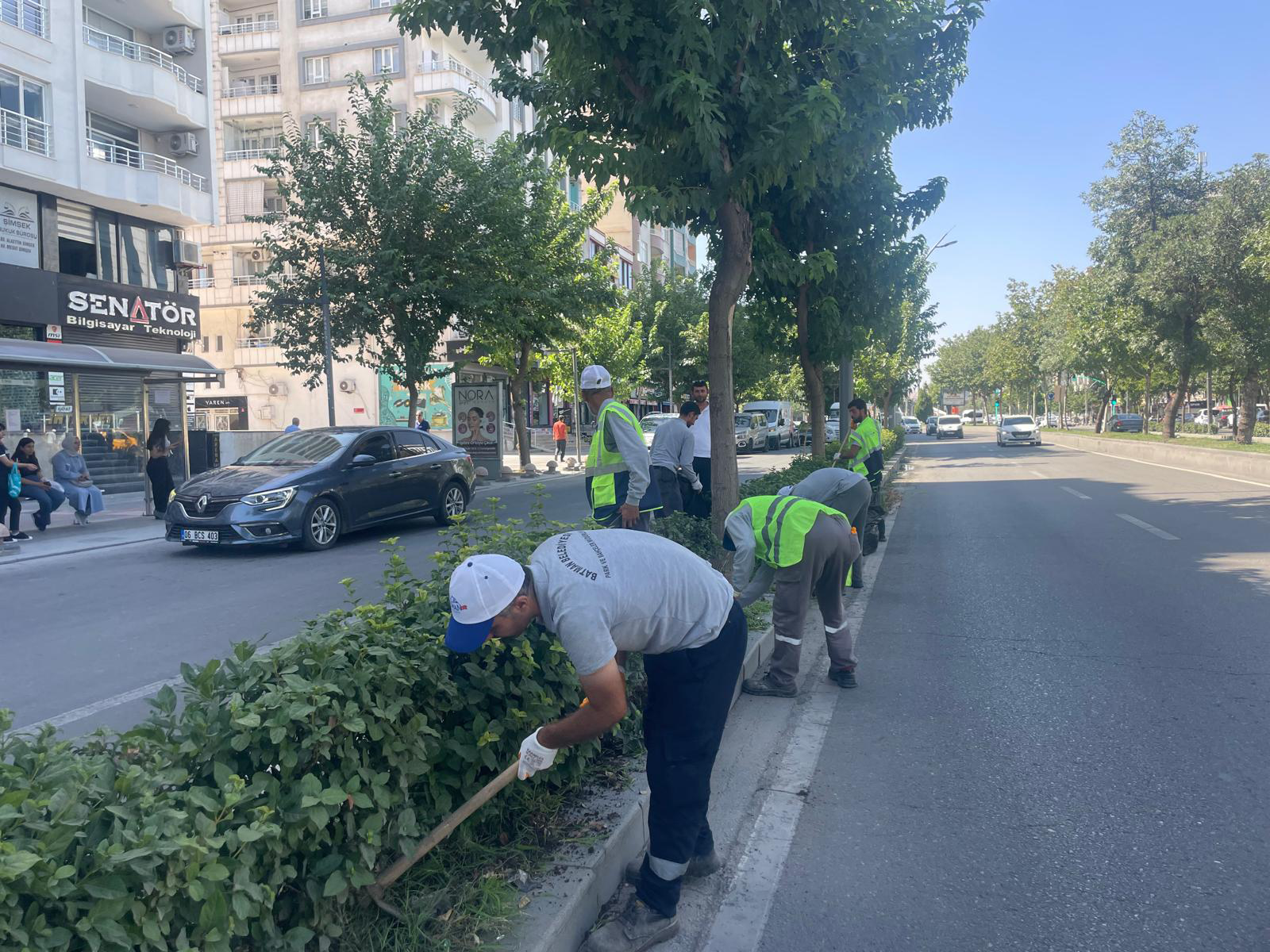 Ana Arterlerde Kuru Ot Temizliği Yapıldı