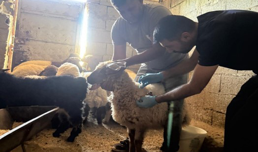 Küçükbaş Hayvanlara ve Arı Kovanlarına Kayıt Uygulaması