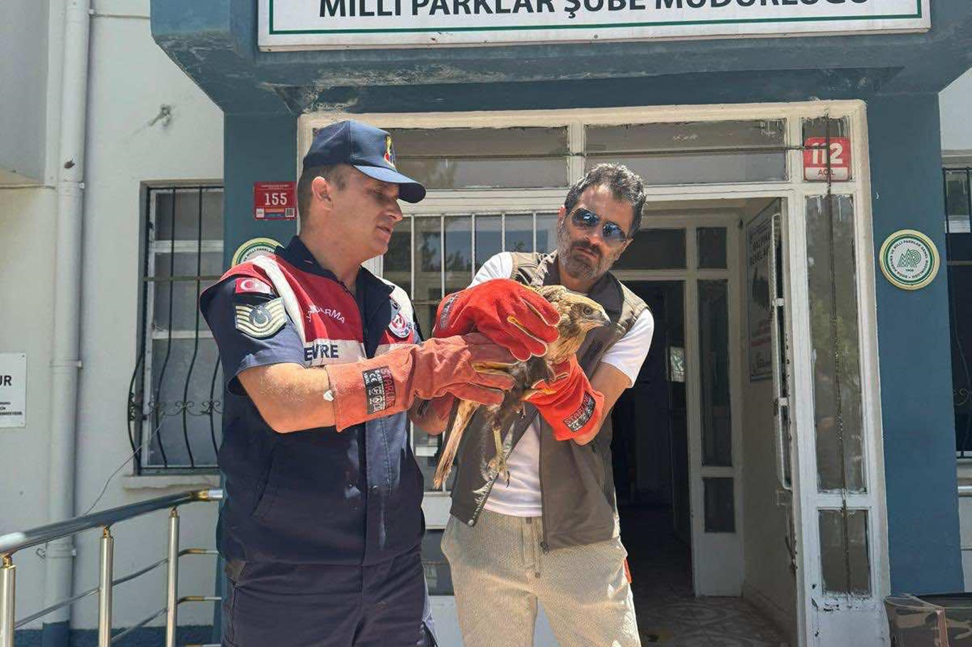 Yaralı Şahin Koruma Altına Alındı