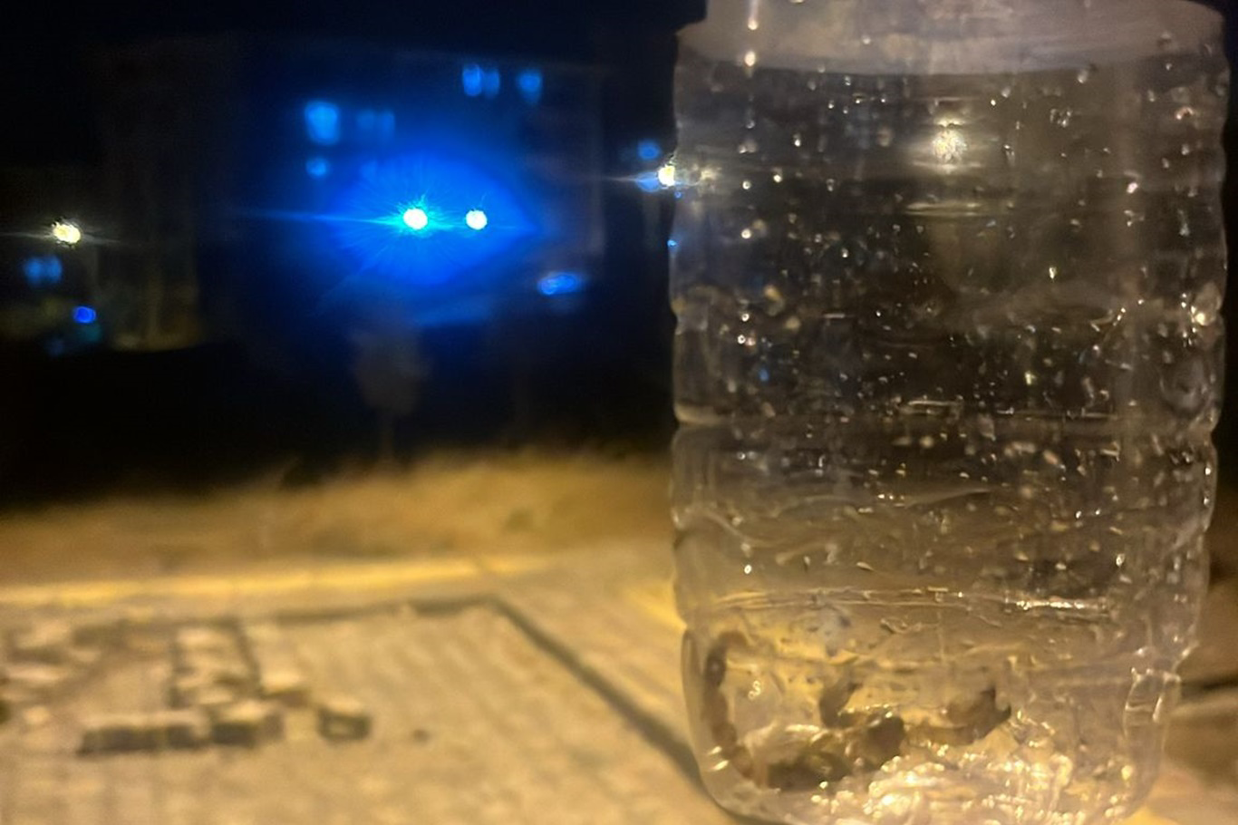 Yenişehir Mahallesi’nde Akrep Alarmı!