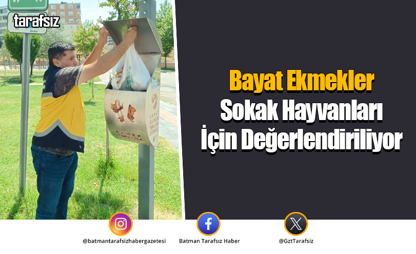 Bayat Ekmekler Sokak Hayvanları İçin Değerlendiriliyor