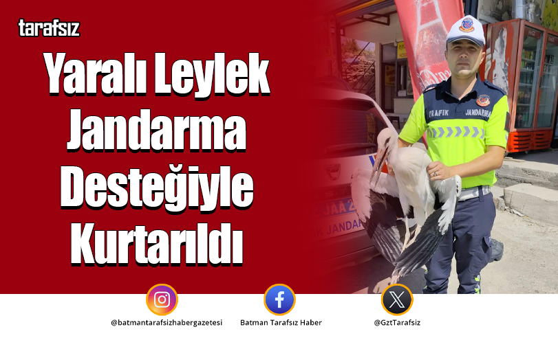 Yaralı Leylek Jandarma Desteğiyle Kurtarıldı