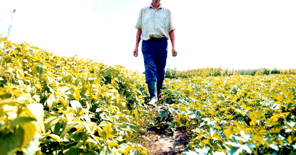 Kaçak Sulamaya Karşı Uyarı: “Bugün Kaçak, Yarın Çorak”