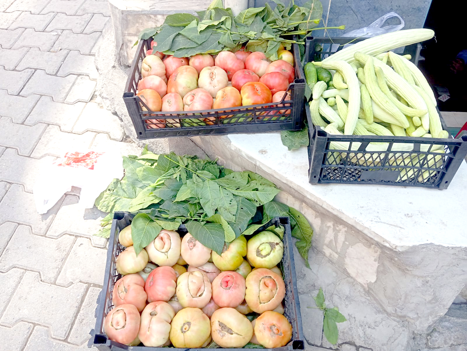 Organik Sebzeler Tezgâhlarda