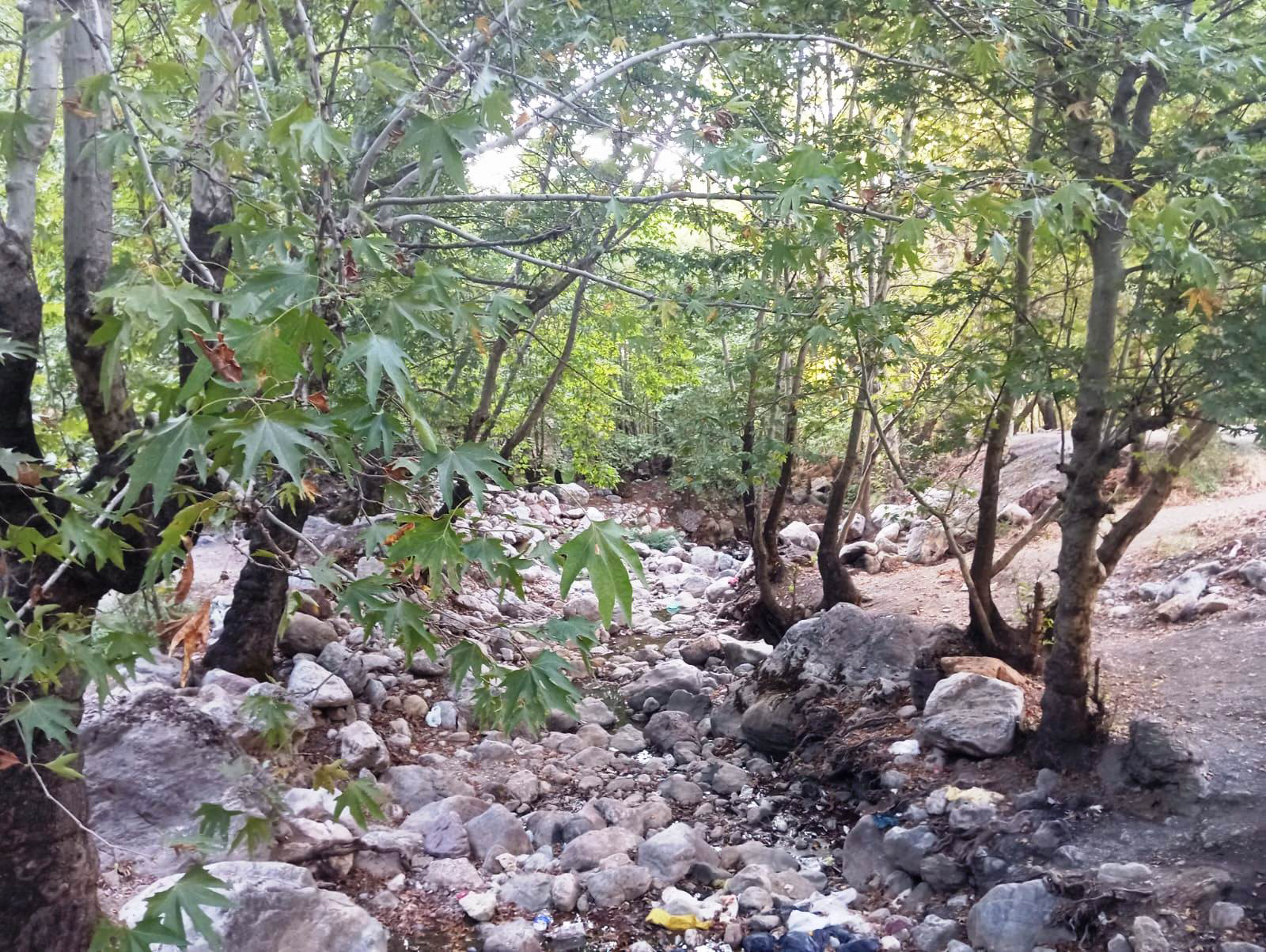 Şat Deresi Kurudu, Esnaf Sondaj Talep Ediyor